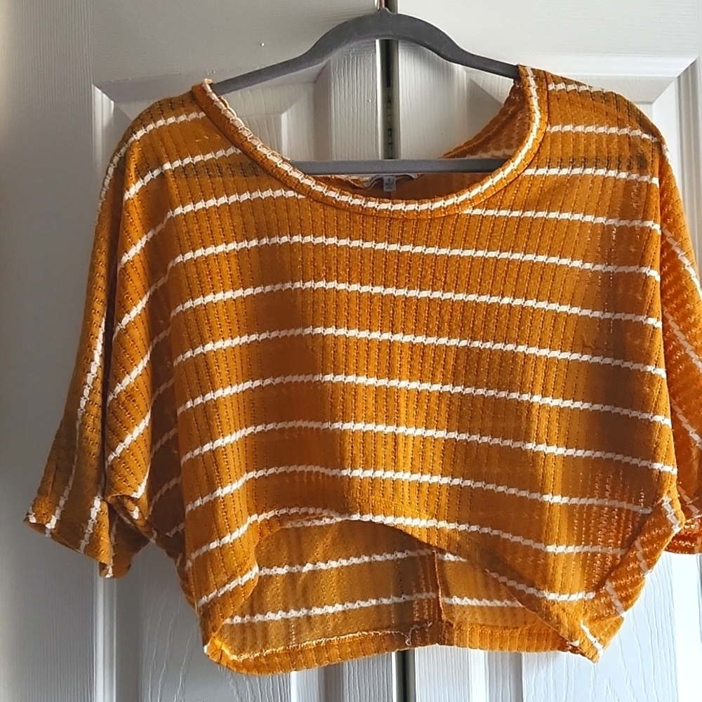 Striped Mustard Crop Top